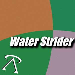Water Strider