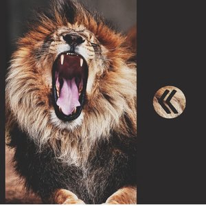 Saturated Images on the Paper