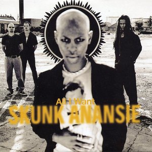 Skunk Anansie 12