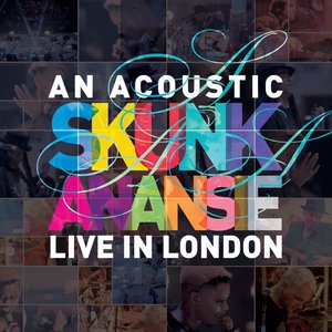 Skunk Anansie 10