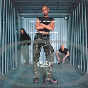 Skunk Anansie 9