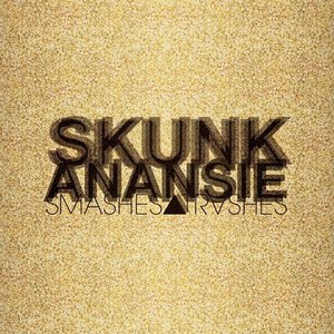 Skunk Anansie 5