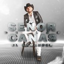 El Señor De Las Canas