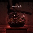 Fan (Stunning, but Hollow Inside)