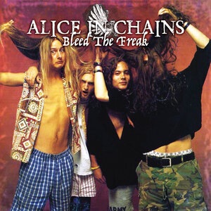 Alice In Chains 13