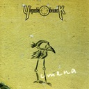 Стена (настоящая)