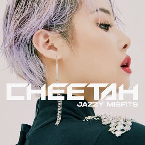 Cheetah 2