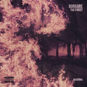 Borgore 24