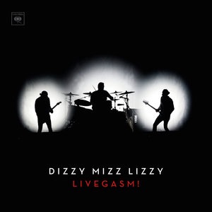 Dizzy Mizz Lizzy 4