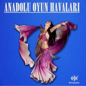 Karanfil Deste Gider