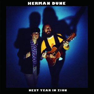 Herman Düne 1