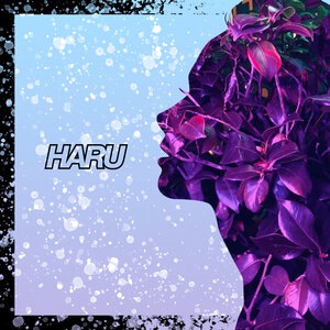 HARU 21