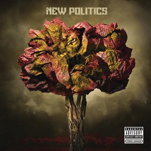 New Politics 1