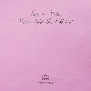 Flashing Lights Have Ended Now