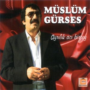 Müslüm Gürses 40