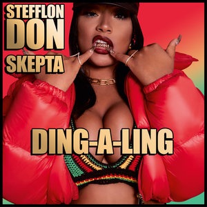 Stefflon Don 7