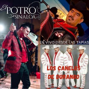El Potro De Sinaloa 1