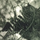 Where is this Coming From