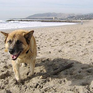 A Way To Move Across The Ground