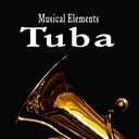 Tuba Plays an Elephant Type Call Accent