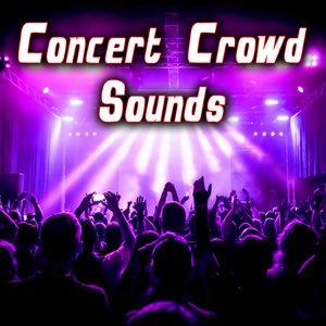 Large Outdoor Concert Crowd 3