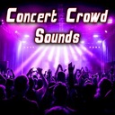 Large Outdoor Concert Crowd 3