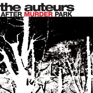 The Auteurs 5