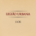 Plantas Embaixo Do Aquario