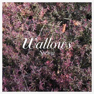 Wallows 6