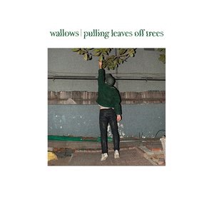 Wallows 2