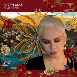 Sezen Aksu 6