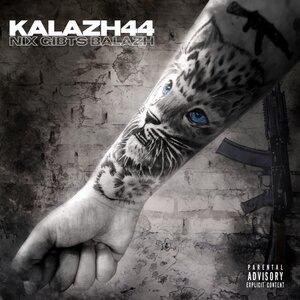 Kalazh44 11