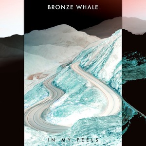 Bronze Whale 6