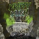 Krippy Kush