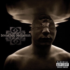 Breaking Benjamin 8