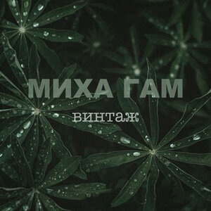 Миха Гам 2
