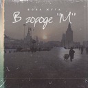 Я похож на того типа