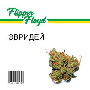 Flipper Floyd 8