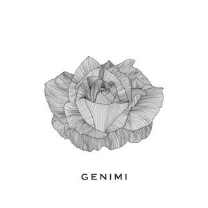 GENIMI 1