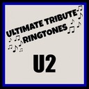Magnificent (Tribute in the Style of U2)