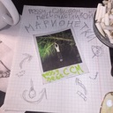 Сгоревшая звезда