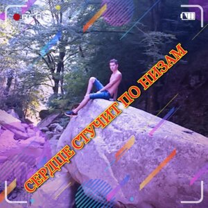 Сердце стучит по низам