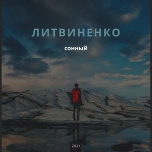 Литвиненко 4