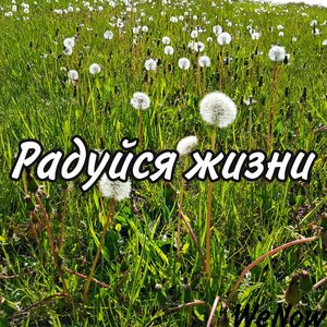 Радуйся жизни