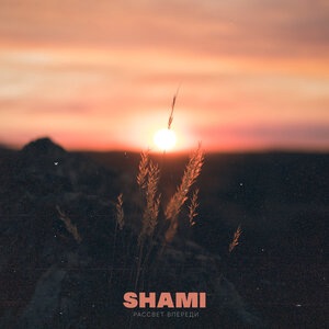 SHAMI 17