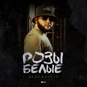 Шейх Мансур 6