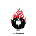 Рокенролльщик