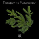 Подарок на Рождество
