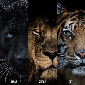 Последний роман