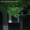 Последствия никотина